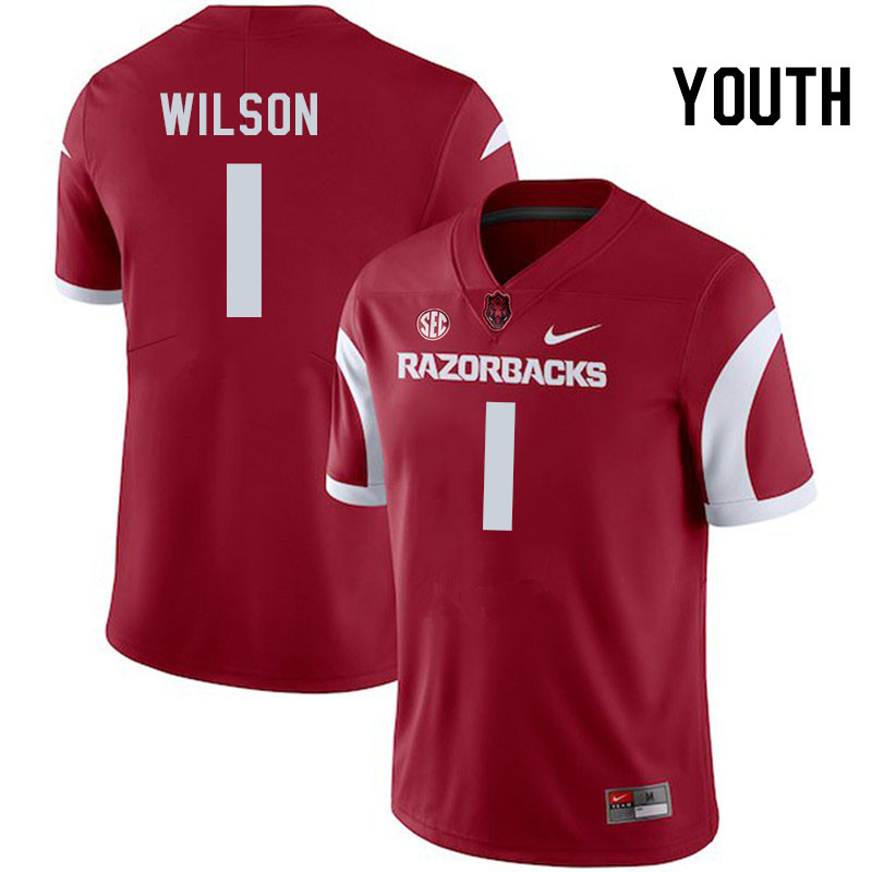 Youth #1 Jaedon Wilson Arkansas Razorbacks College Football Jerseys Stitched-Cardinal